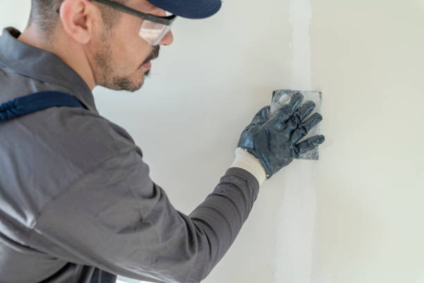 Best Trim and Molding Painting  in Mount Pulaski, IL